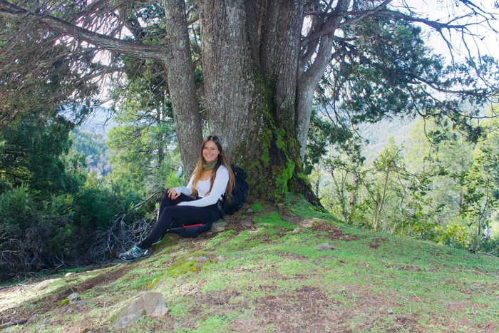 Rousse from Tours Alegría resting under a giant tree on a forest hike
