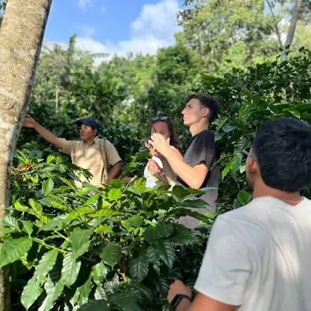 Visitors with a coffee grower among the coffee plants in the Cordillera del Bálsamo