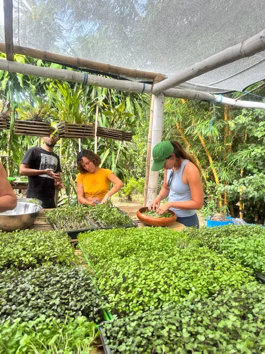 Hands-on class in the greenhouse of the Comasagua farm