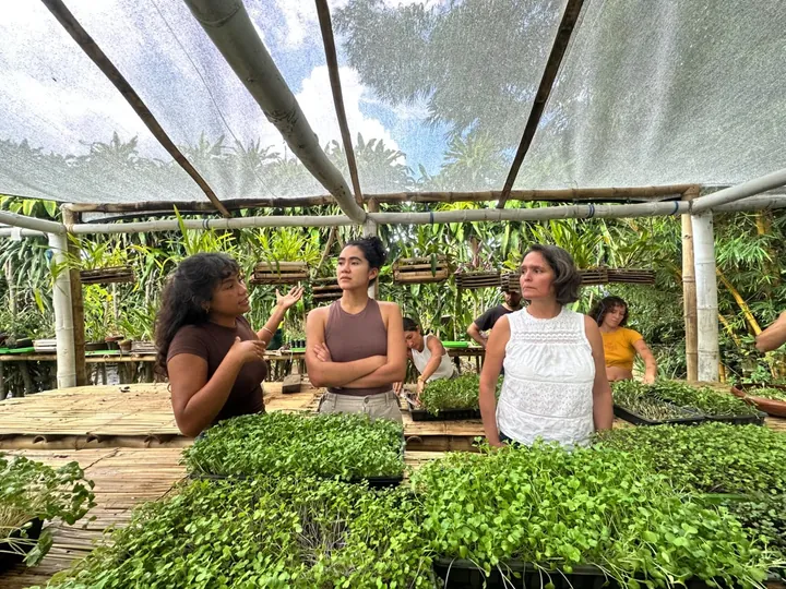 Guests learning about microgreens with the farmers in Comasagua